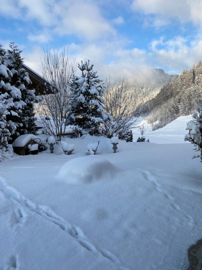 Appartement Kurzzeitdomizil In Oberstdorf Extérieur photo